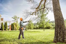 Best Arborist Consultation Services  in Arp, TX